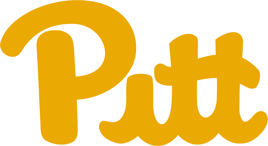 Pittsburgh Panthers 1973-1997 Alternate Logo diy iron on heat transfer